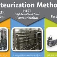 Pasteurization: The Basics